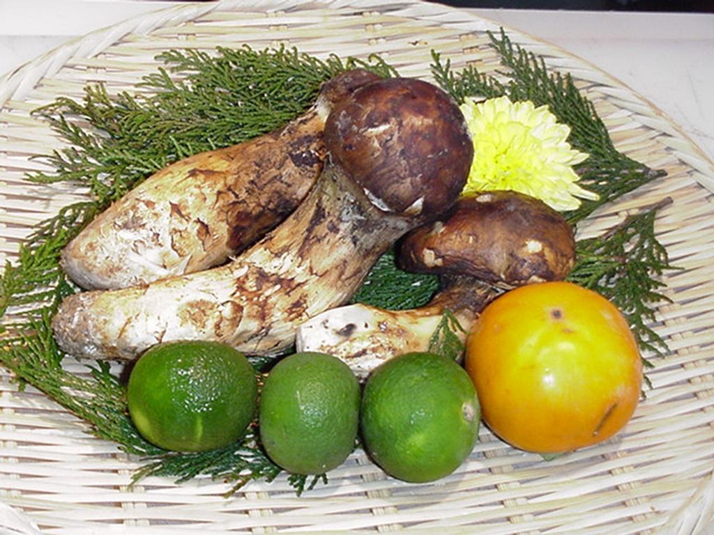 Kappo Ryokan Suimeisou Noda  Esterno foto